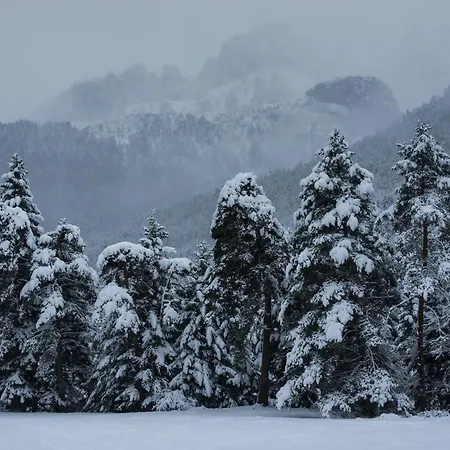 Mendizalea By Bevalle Apartamento *