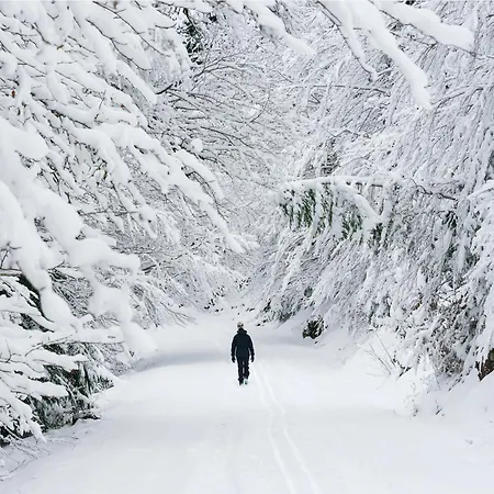 Mendizalea By Bevalle * Sallent de Gállego