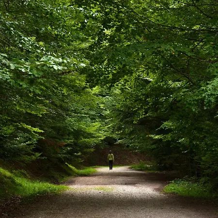 Mendizalea By Bevalle Sallent de Gállego