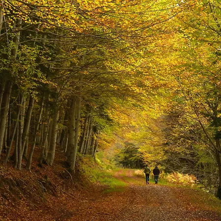 Apartament Mendizalea By Bevalle