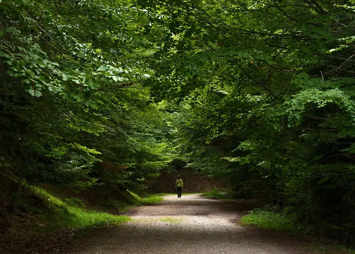 Mendizalea By Bevalle Sallent de Gállego