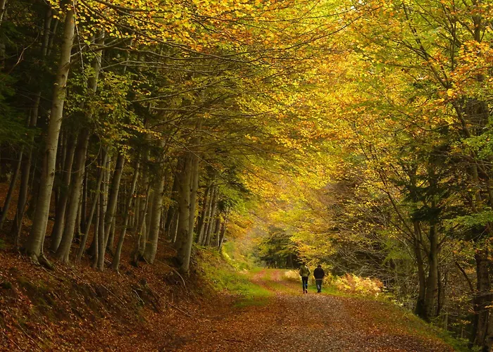 Apartament Mendizalea By Bevalle